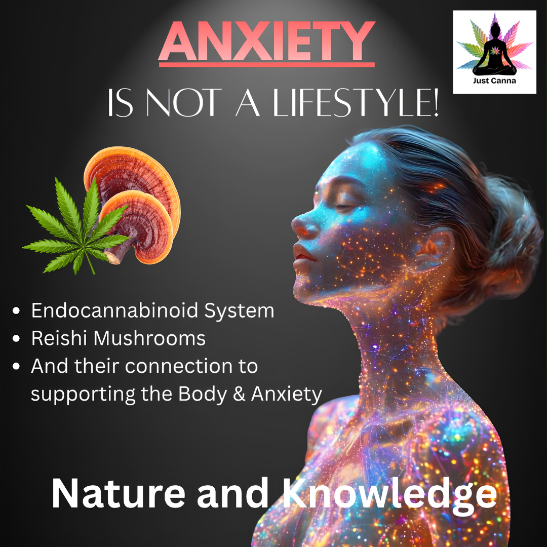 ANXIETY IS NOT A LIFESTYLE