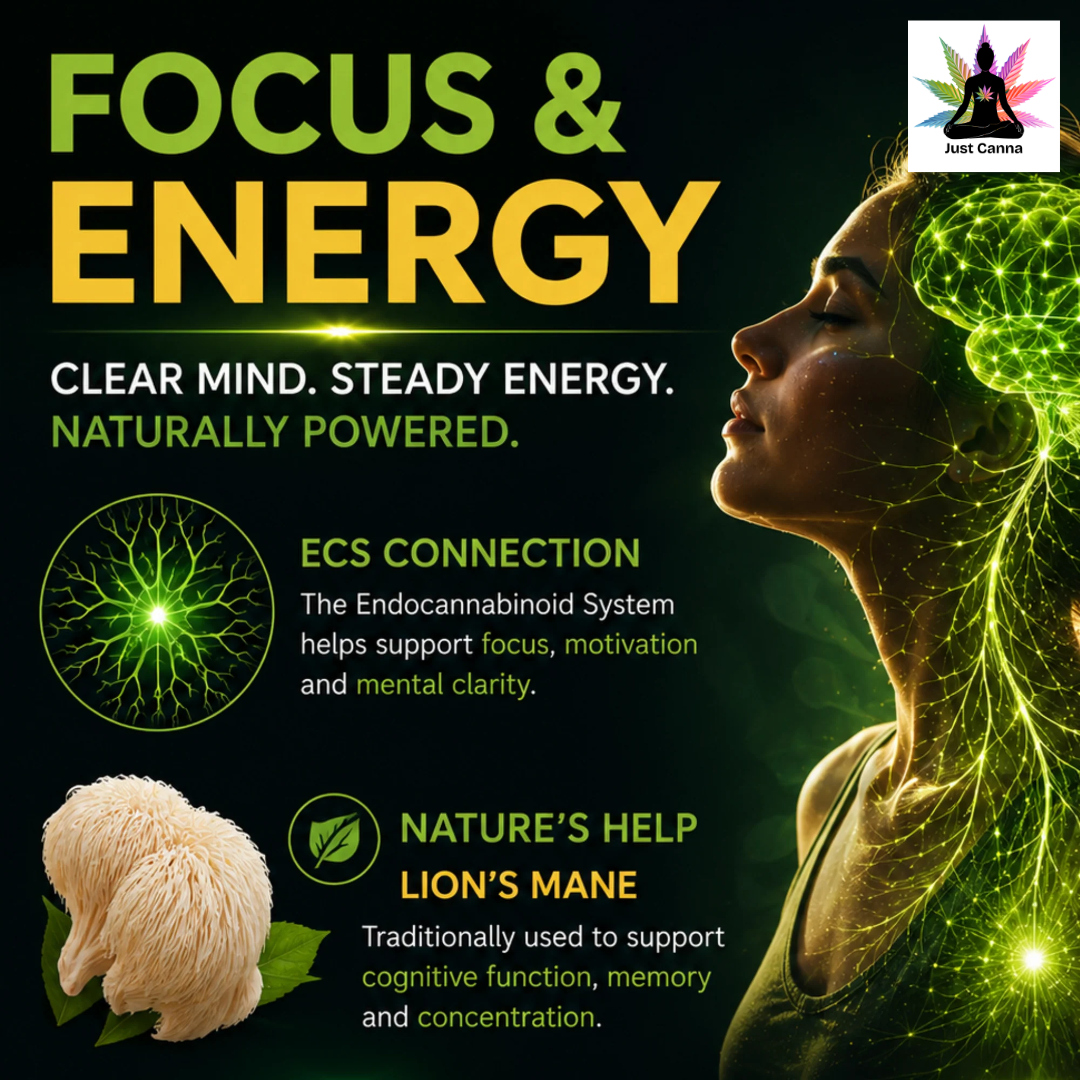 Focus and Energy: Your brain isn't designed to run on empty