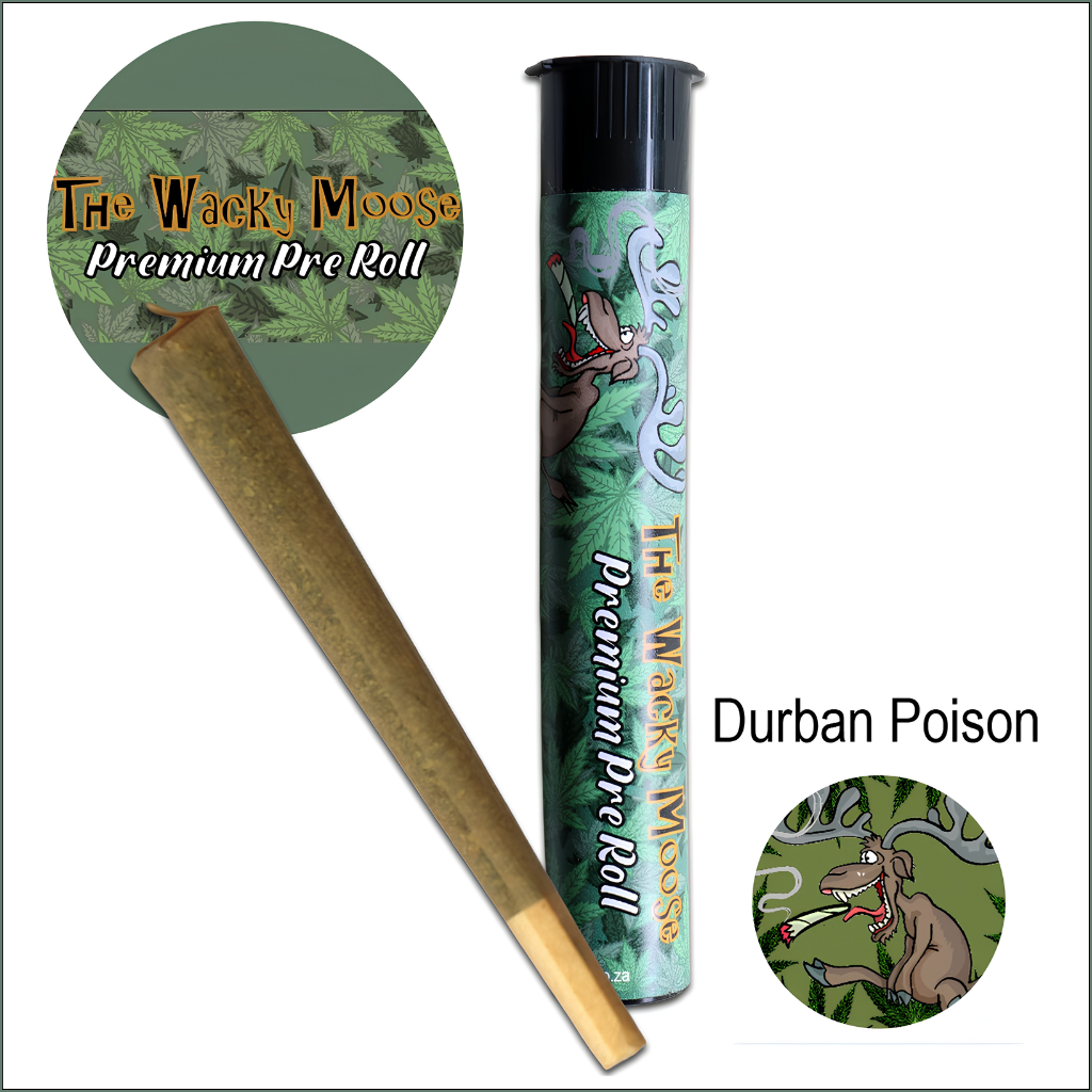 Wacky Moose Premium Pre-Rolls - Kingsize - Indoor - Durban Poison (Sativa)