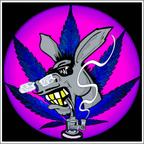 Dabbing Donkey "Pocket Rockets" (Kief + Distillate Jacket + Indoor Flower) - Mini's - 3's