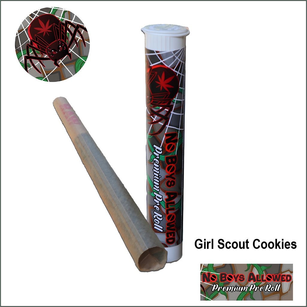 No Boys Allowed Premium Pre-Rolls - Kingsize - Greendoor - Girl Scout Cookies (Indica)