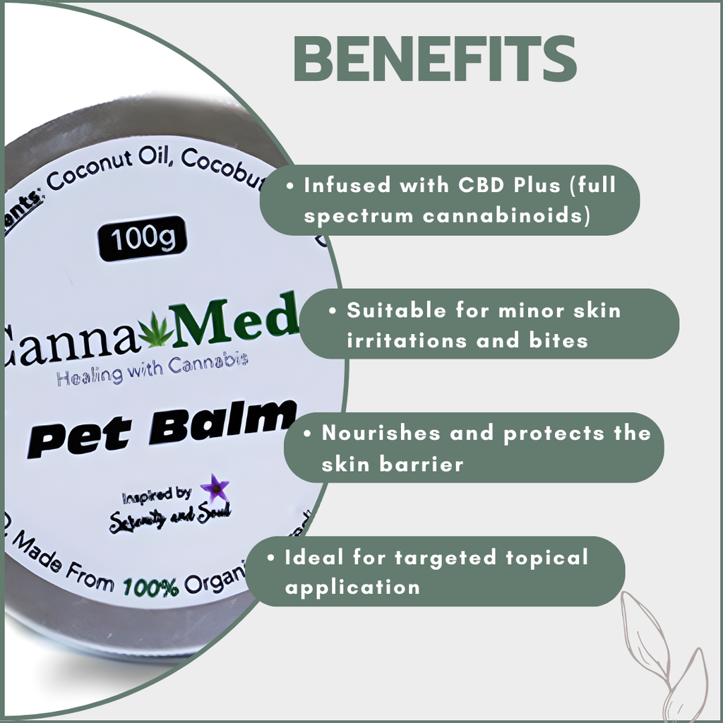CBD Plus Pet Balm 100g