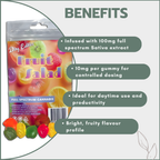 Gummies - Fruit Salad 100mg (10x10mg) - Sativa