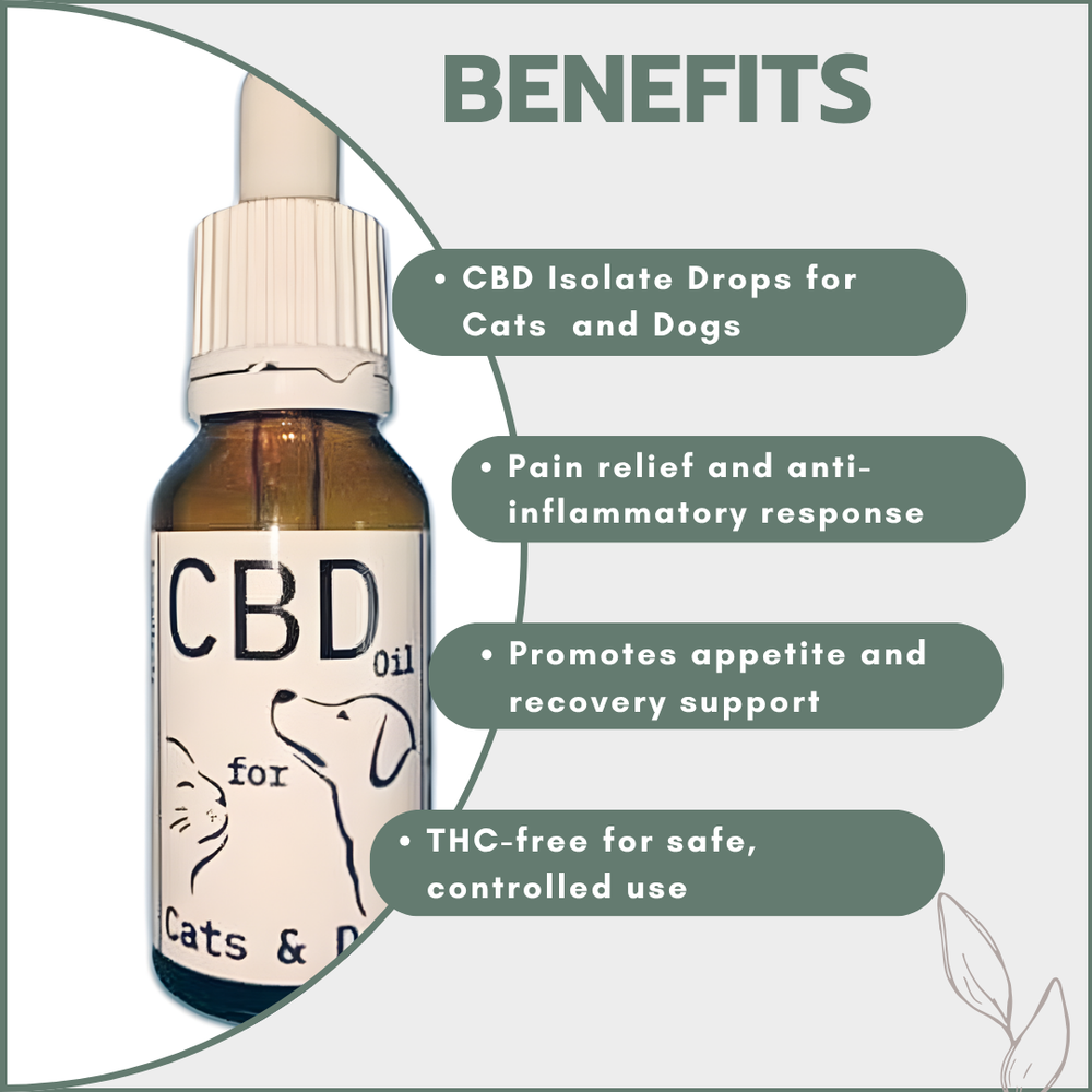 CBD Isolate Drops for Cats & Dogs 300mg (15ml)