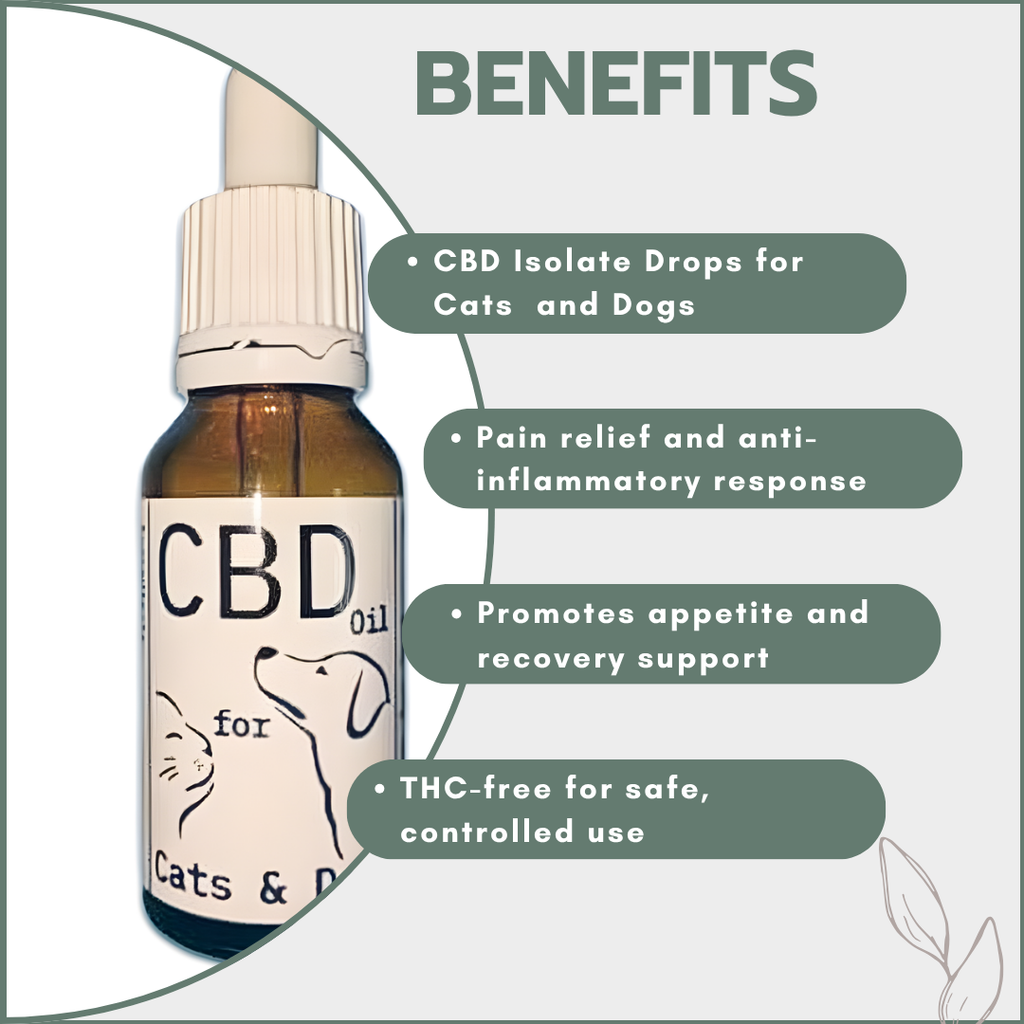 CBD Isolate Drops for Cats & Dogs 300mg (15ml)