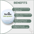 CBD Lip Balm 3g