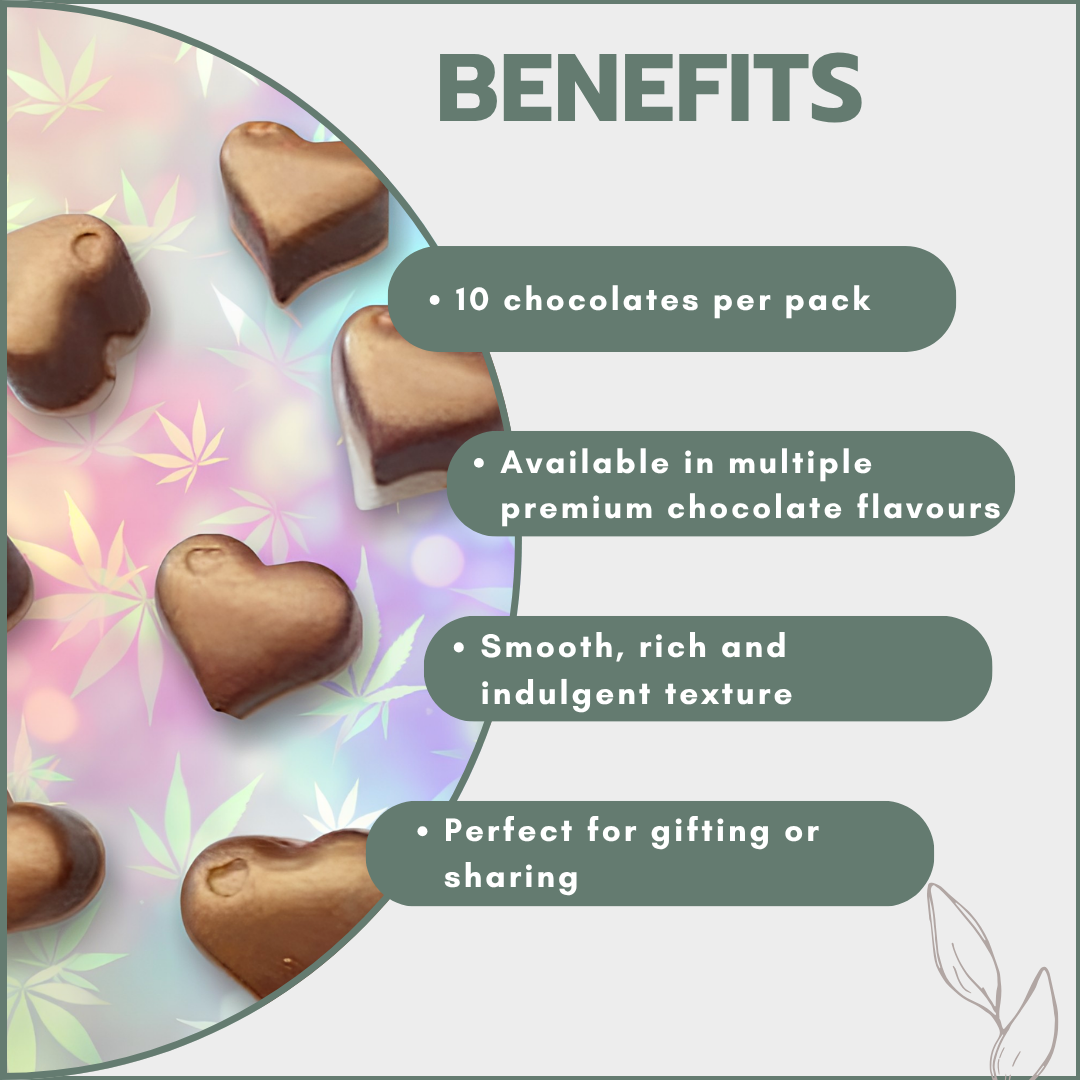 Canna Chocolates 20mg - Unfilled (Pack of 10)