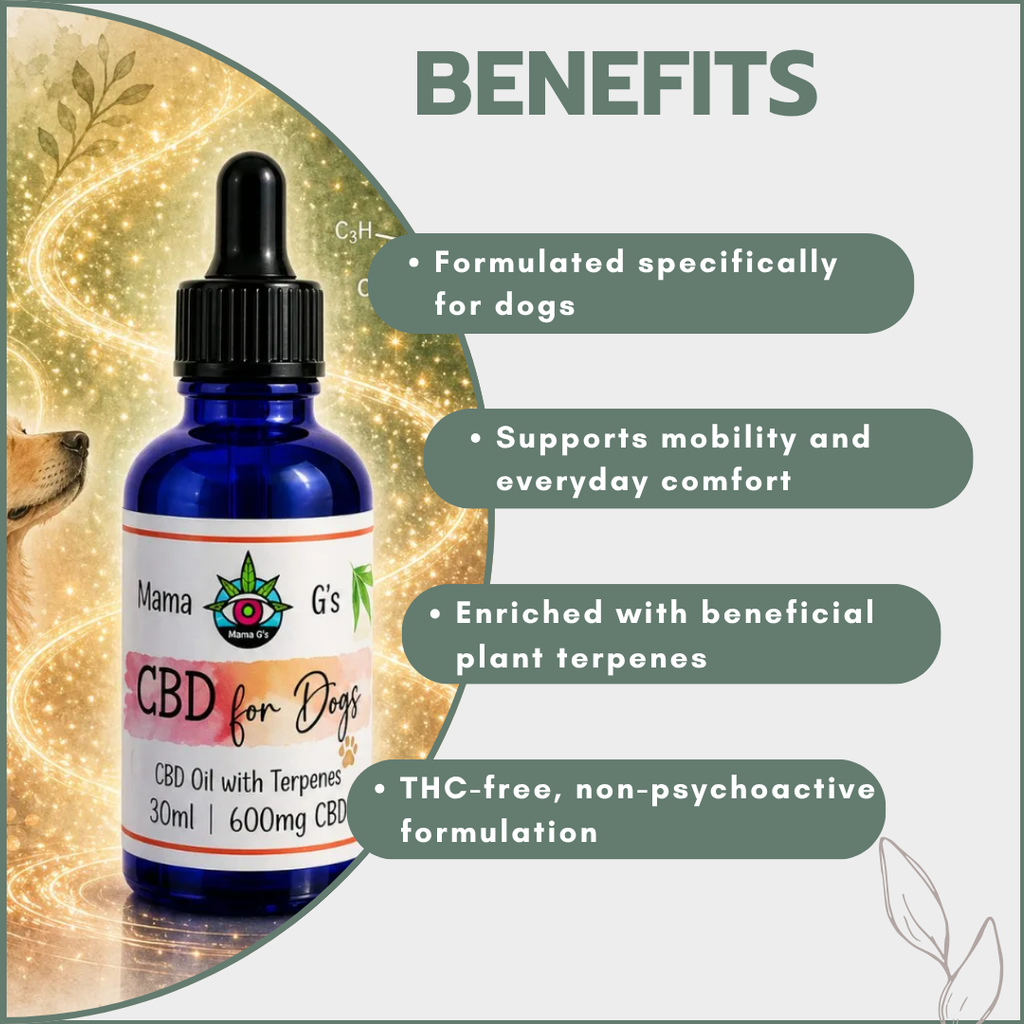 CBD Oil for Dogs 30ml