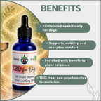 CBD Oil for Dogs 30ml