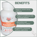 Wellness Warrior Maxidose 500mg 15's
