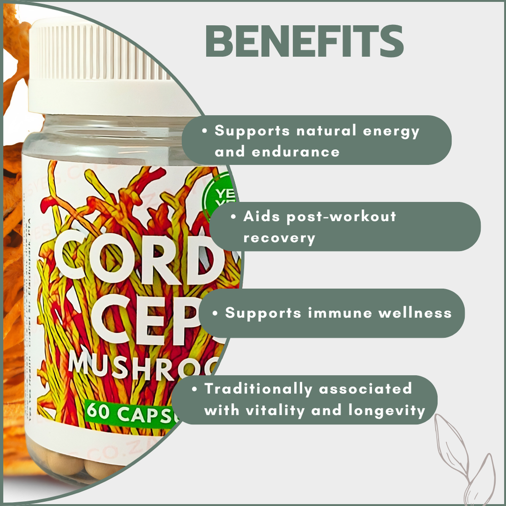 YesYes Health - Cordyceps Mushroom 60's
