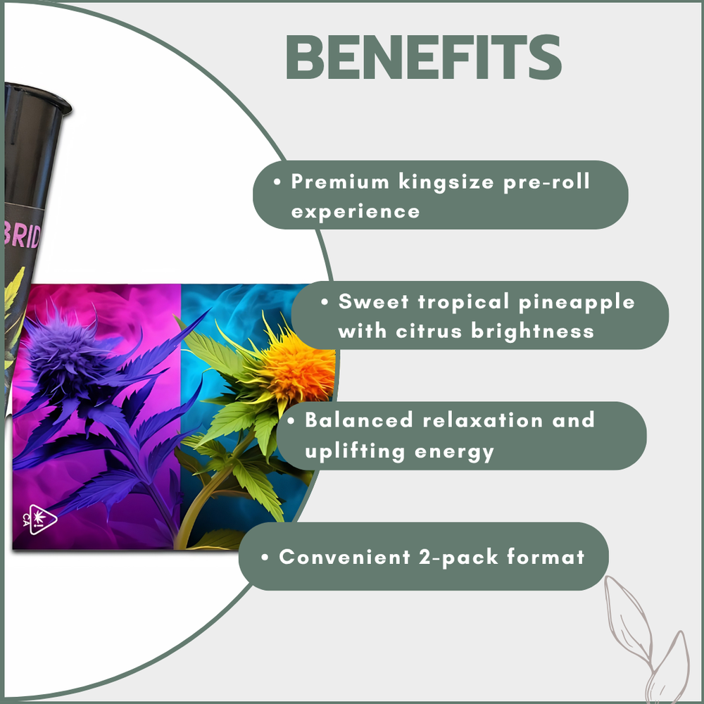 Premium Kingsize Pre-Rolls - Pineapple Express - Hybrid (2's)