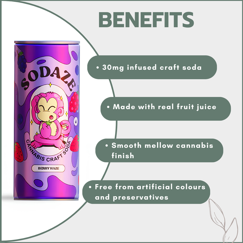 Sodaze Infused Craft Soda 30mg - Berry Haze (250ml)
