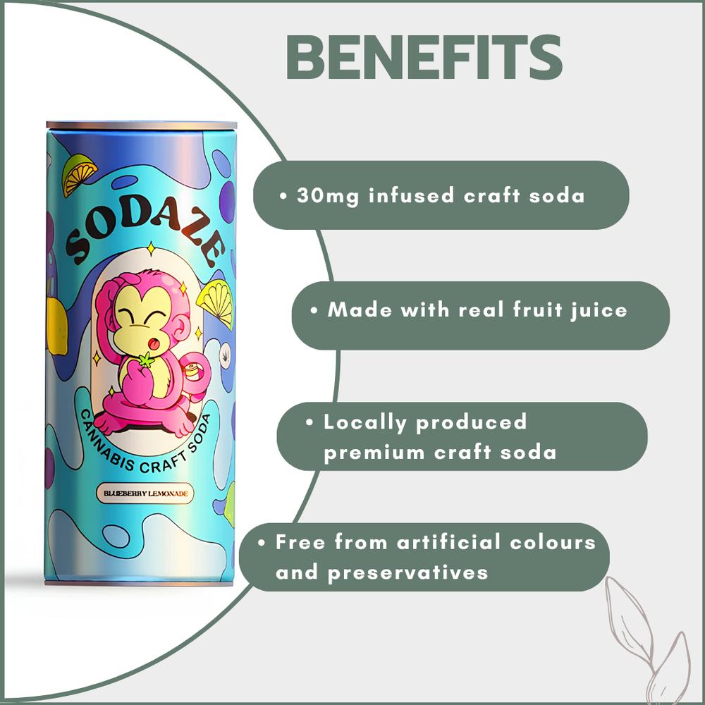 Sodaze Infused Craft Soda 30mg - Blueberry Lemonade (250ml)