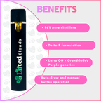 Lifted Delta 9 Disposable Vapes 1ml - Purple Punch (Indica)