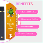 Pure Distillate Disposable Vapes 1ml - Amnesia Haze (Sativa)