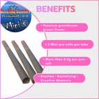 Blazing Johnny Premium Pre-Rolls - Mini's - Greenhouse - Sour Diesel (Sativa) 3's
