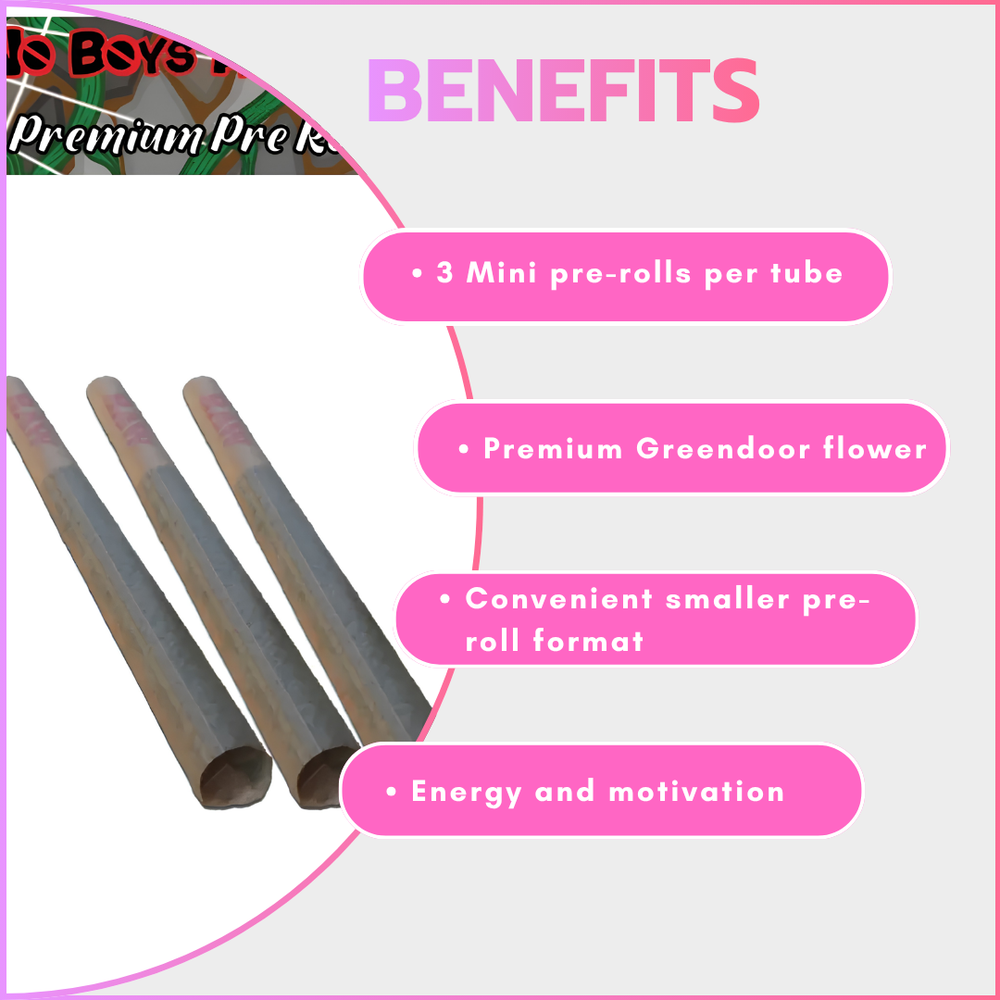 No Boys Allowed Premium Pre-Rolls - Mini's - Greendoor - Sour Diesel (Sativa) 3's