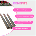No Boys Allowed Premium Pre-Rolls - Mini's - Greendoor - Sour Diesel (Sativa) 3's