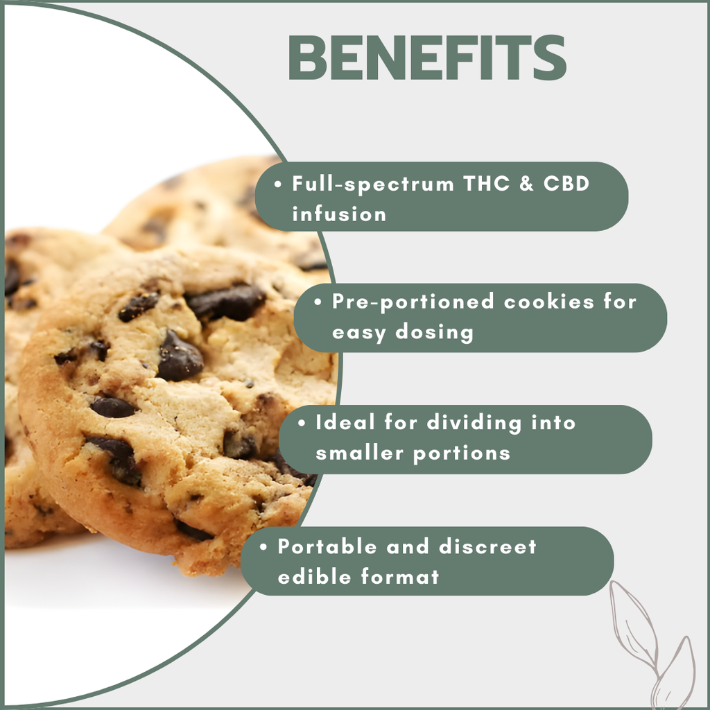 Choc-Chip Cannabis Space Cookies 500mg (10x50mg)