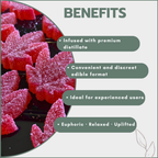Gummy Leaf Single 80mg (1x80mg)