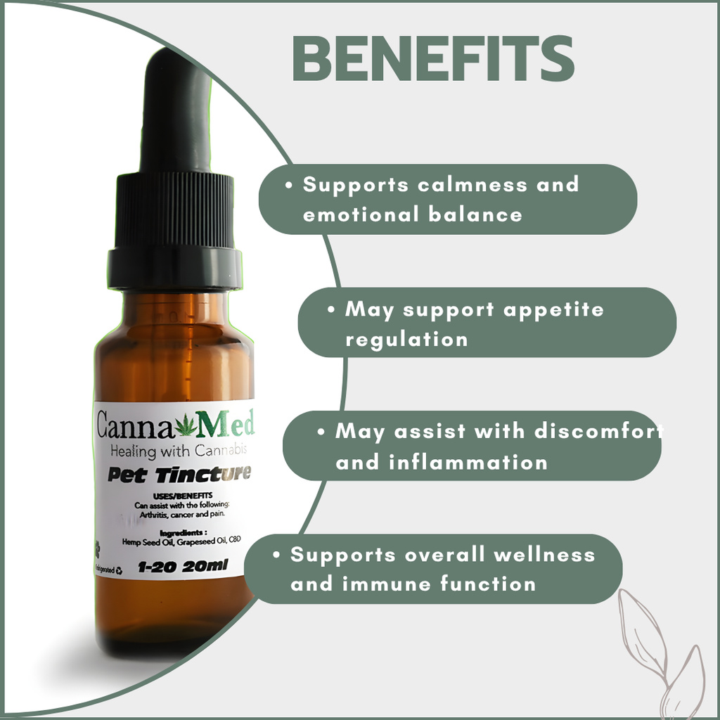 CBD Pet Tincture