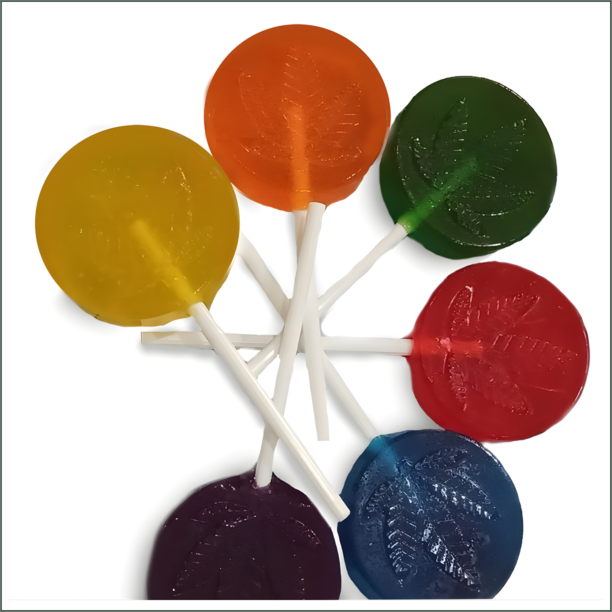 Canna Lollipops, Sugar Free - Pack of 10 (7 flavour variants)