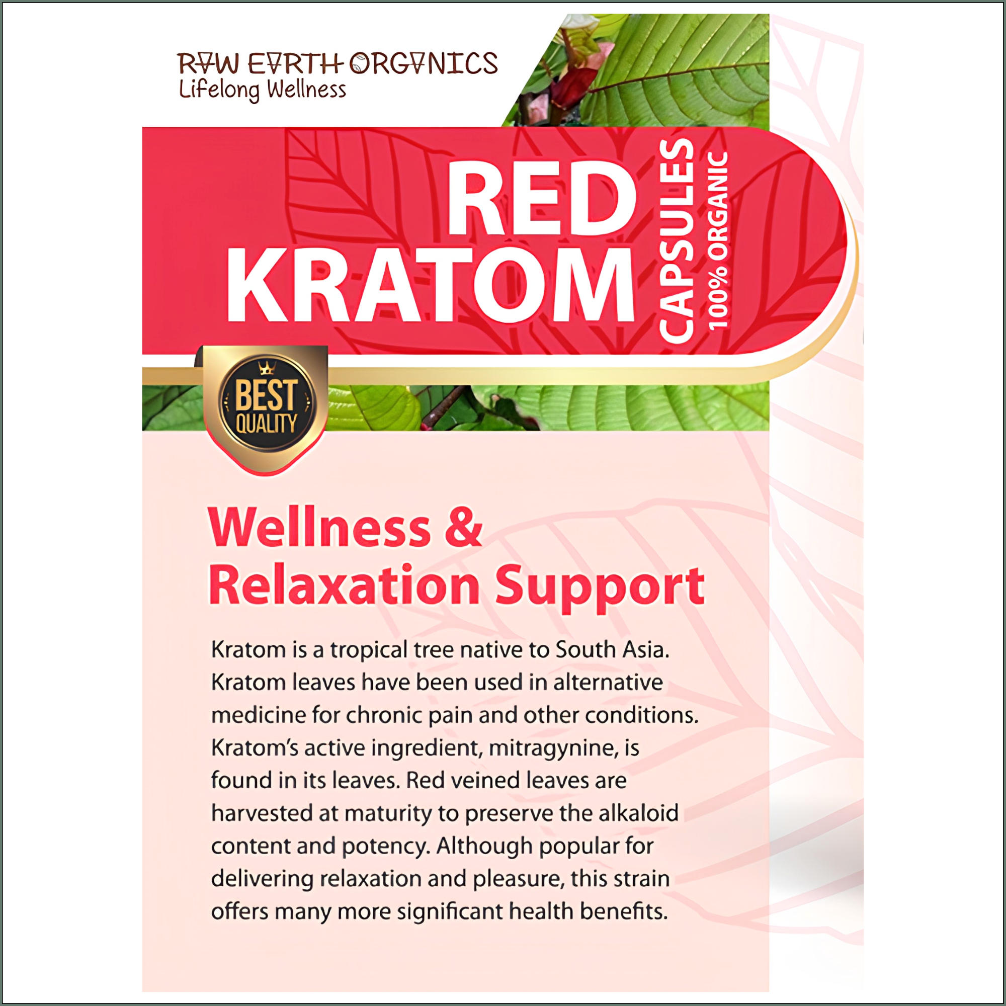 Raw Earth Organics Red Kratom 60's