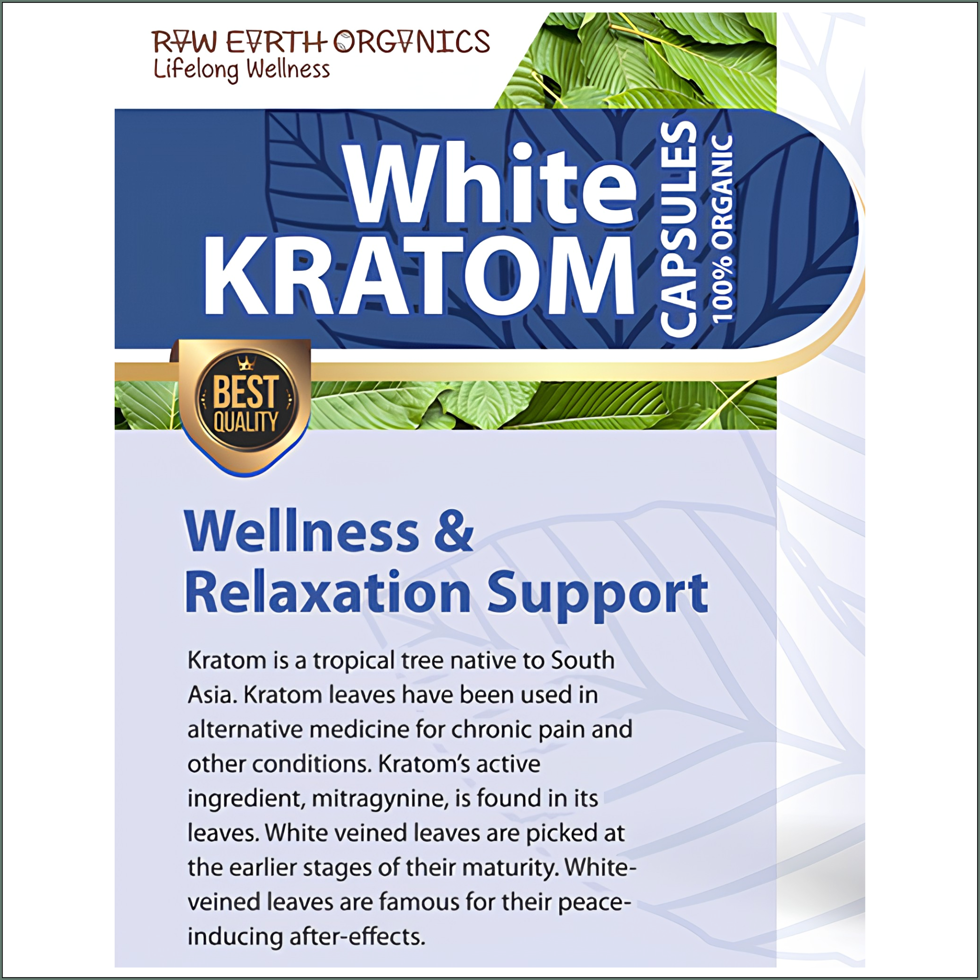 Raw Earth Organics White Kratom 60's
