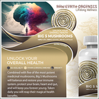 Raw Earth Organics Big 5 Mushrooms 90's