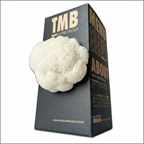 Mushroom Grow Box - Lion's Mane Mushrooms