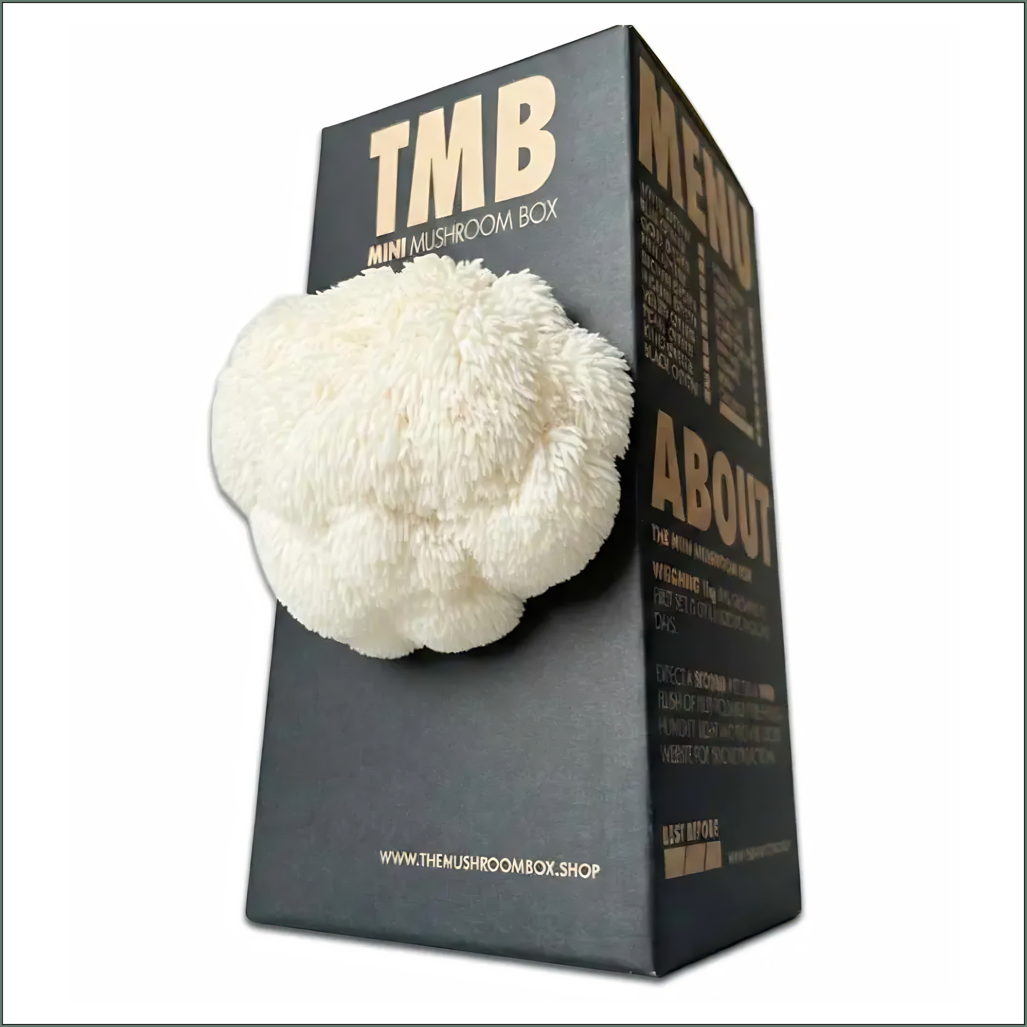 Mushroom Grow Box - Lion's Mane Mushrooms