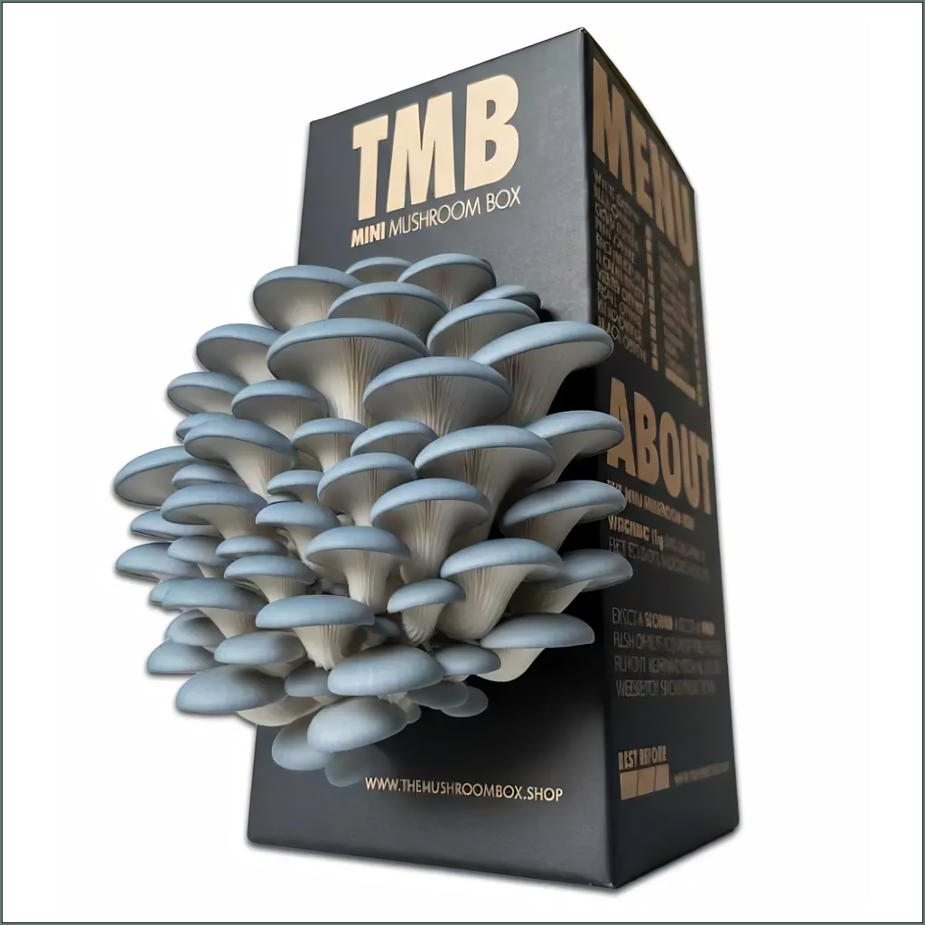 Mushroom Grow Box - Blue Oyster Mushrooms