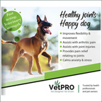 VetPro Canine CBD Joint Support FORTE