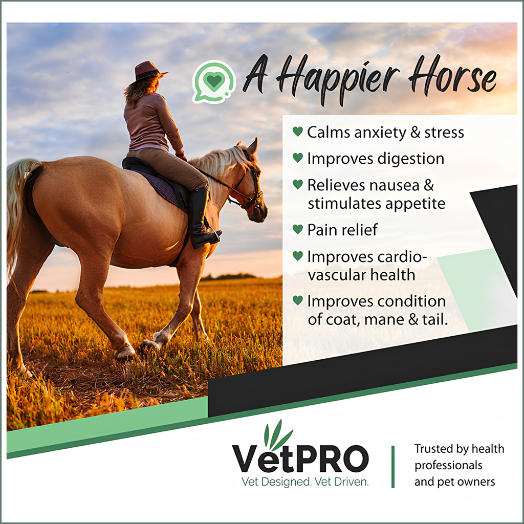 VetPro Equine CBD Cannabis Powder