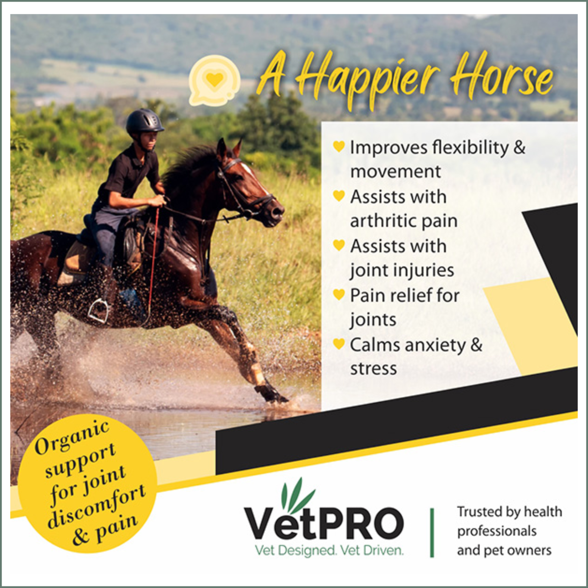 VetPro Equine CBD Joint Supplement