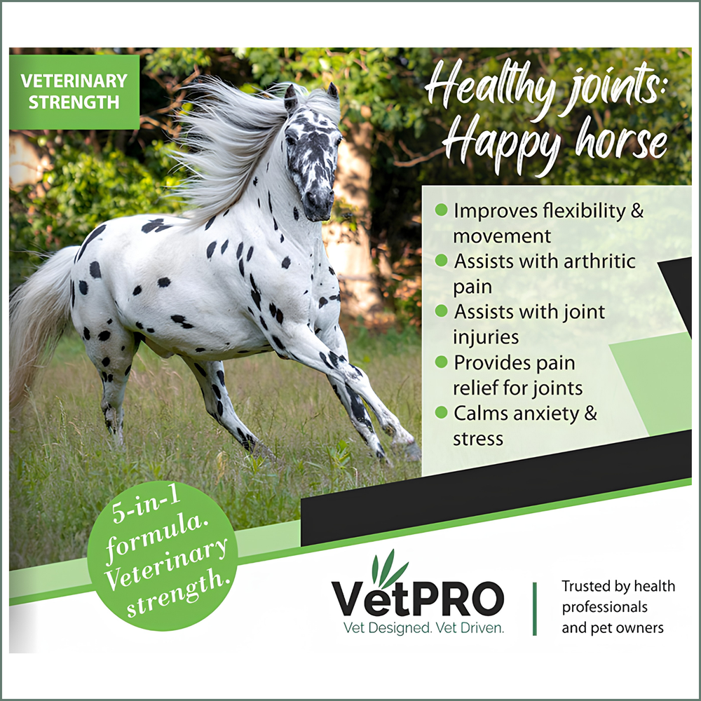 VetPro Equine CBD Joint Support FORTE