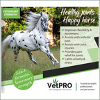 VetPro Equine CBD Joint Support FORTE