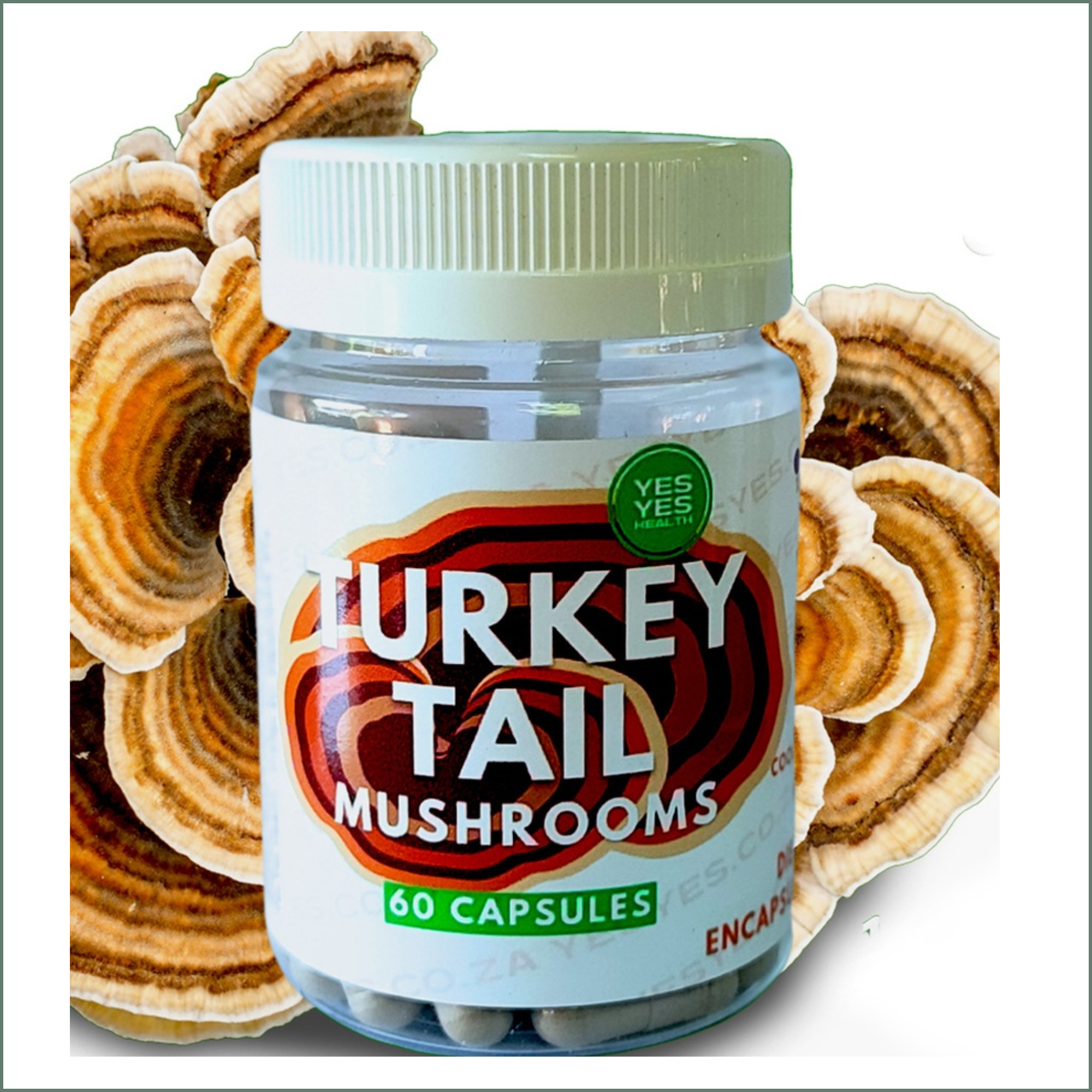 YesYes Health - Turkey Tail Mushroom 60's