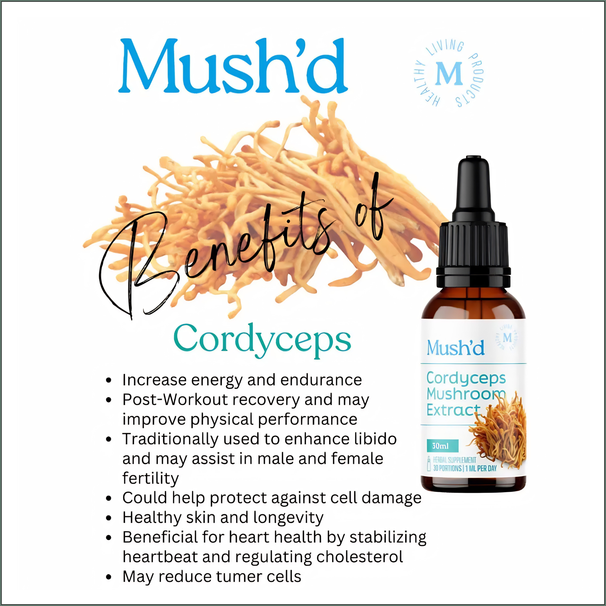 Dual Extracted Mushroom Tincture - Cordyceps 30ml