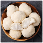 Mushroom Grow Box - Lion's Mane Mushrooms
