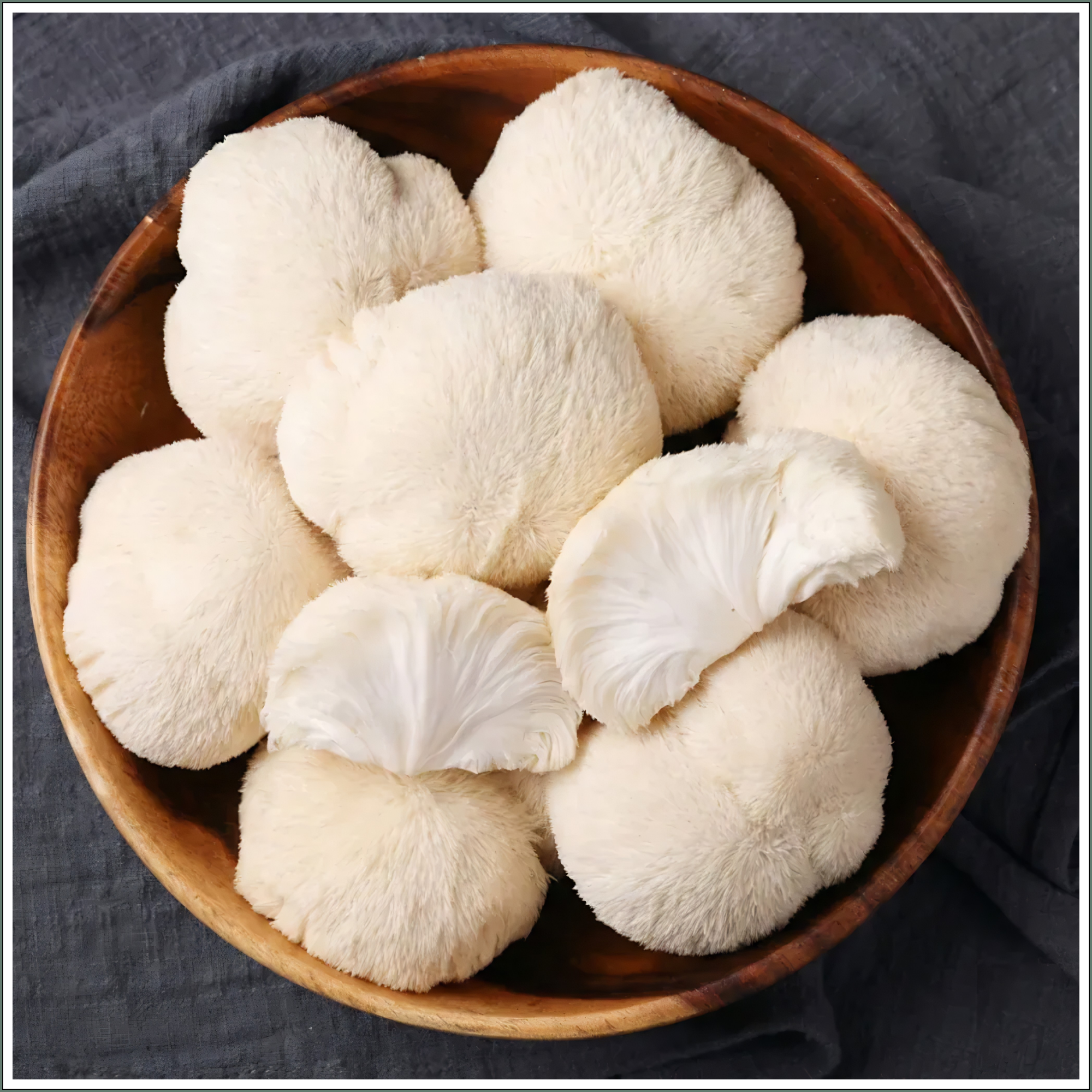Mushroom Grow Box - Lion's Mane Mushrooms