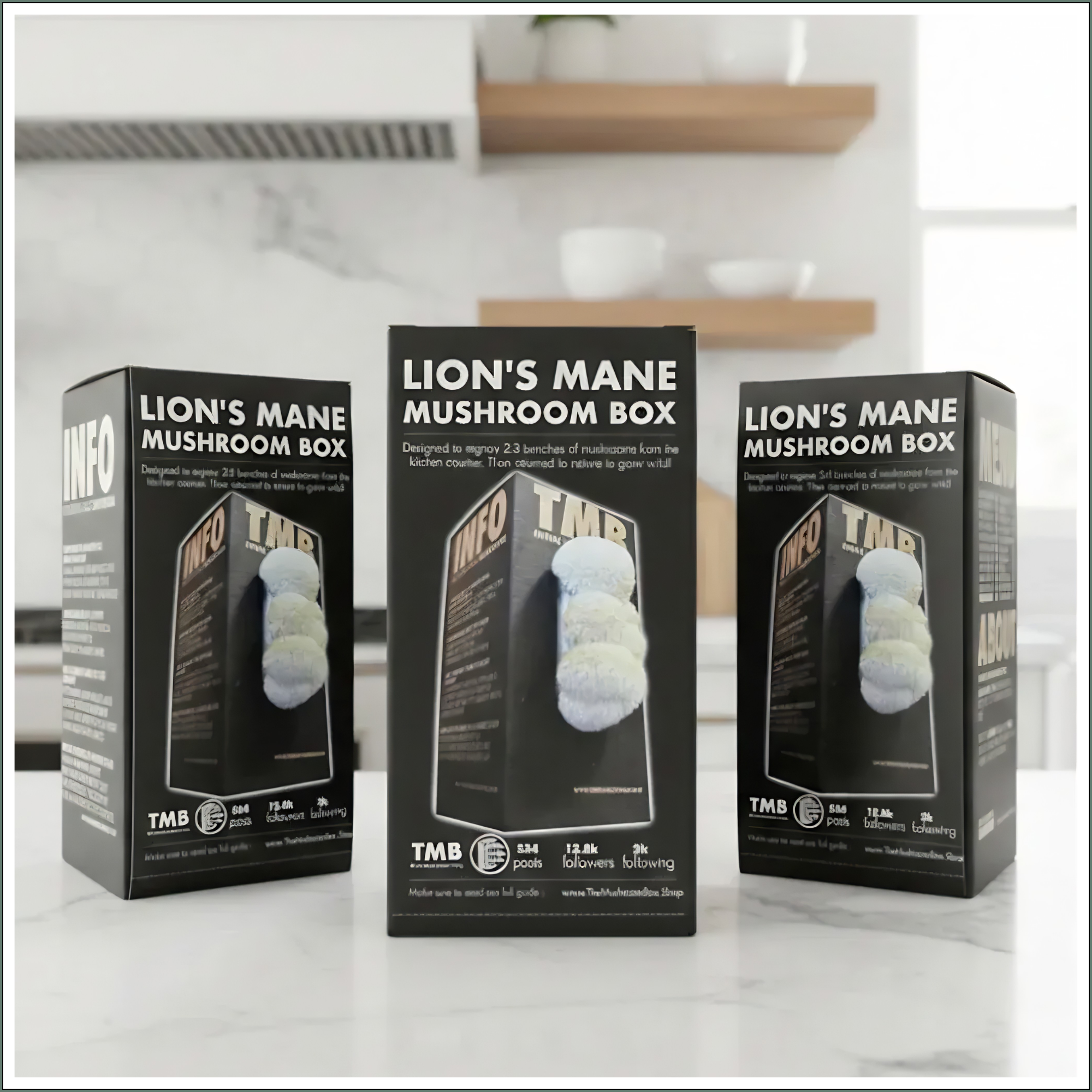 Mushroom Grow Box - Lion's Mane Mushrooms