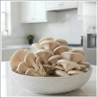 Mushroom Grow Box - Blue Oyster Mushrooms