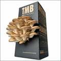 Mushroom Grow Box - Brown Oyster Mushrooms