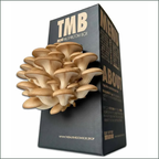Mushroom Grow Box - Brown Oyster Mushrooms