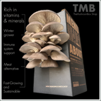 Mushroom Grow Box - Black Pearl Oyster Mushrooms
