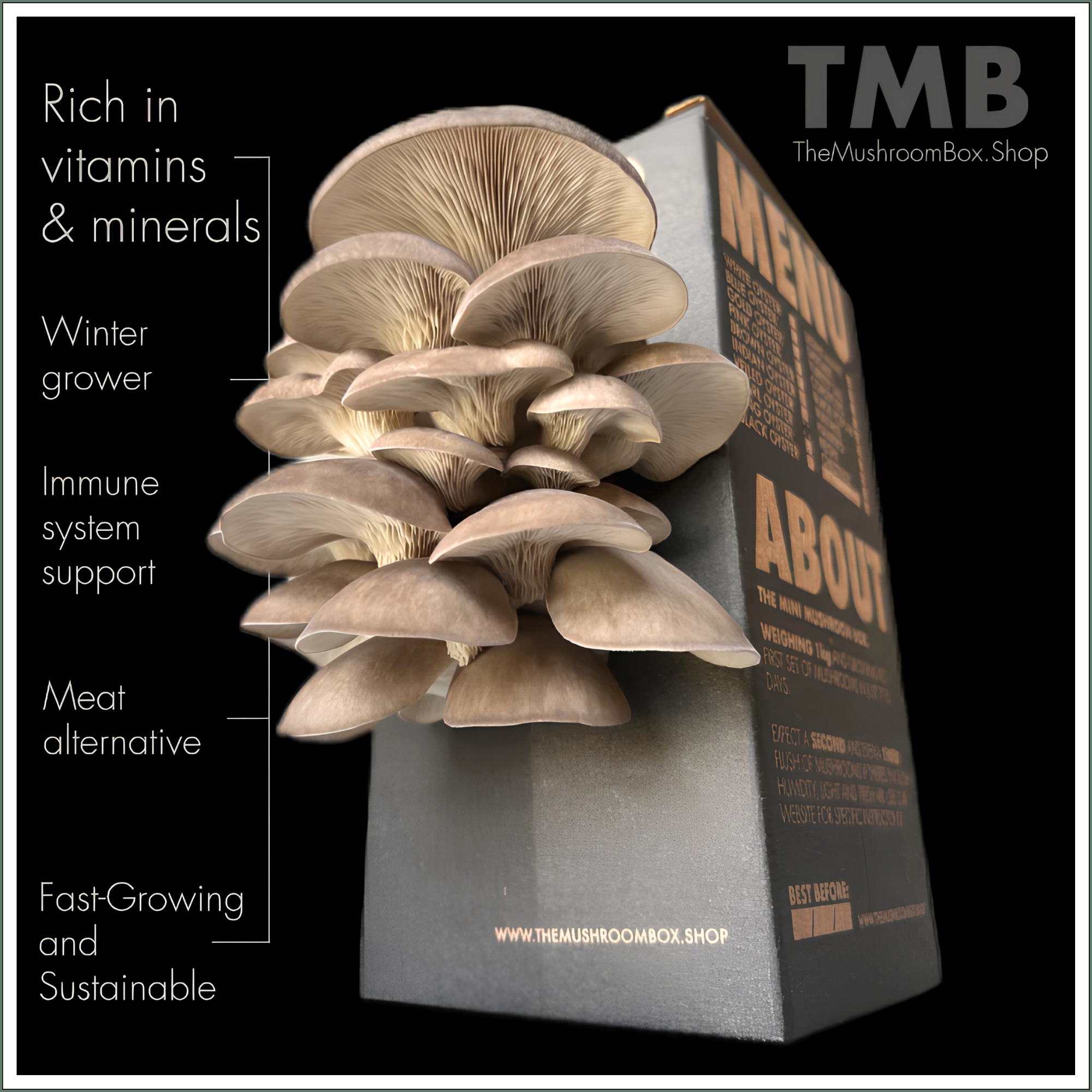 Mushroom Grow Box - Black Pearl Oyster Mushrooms