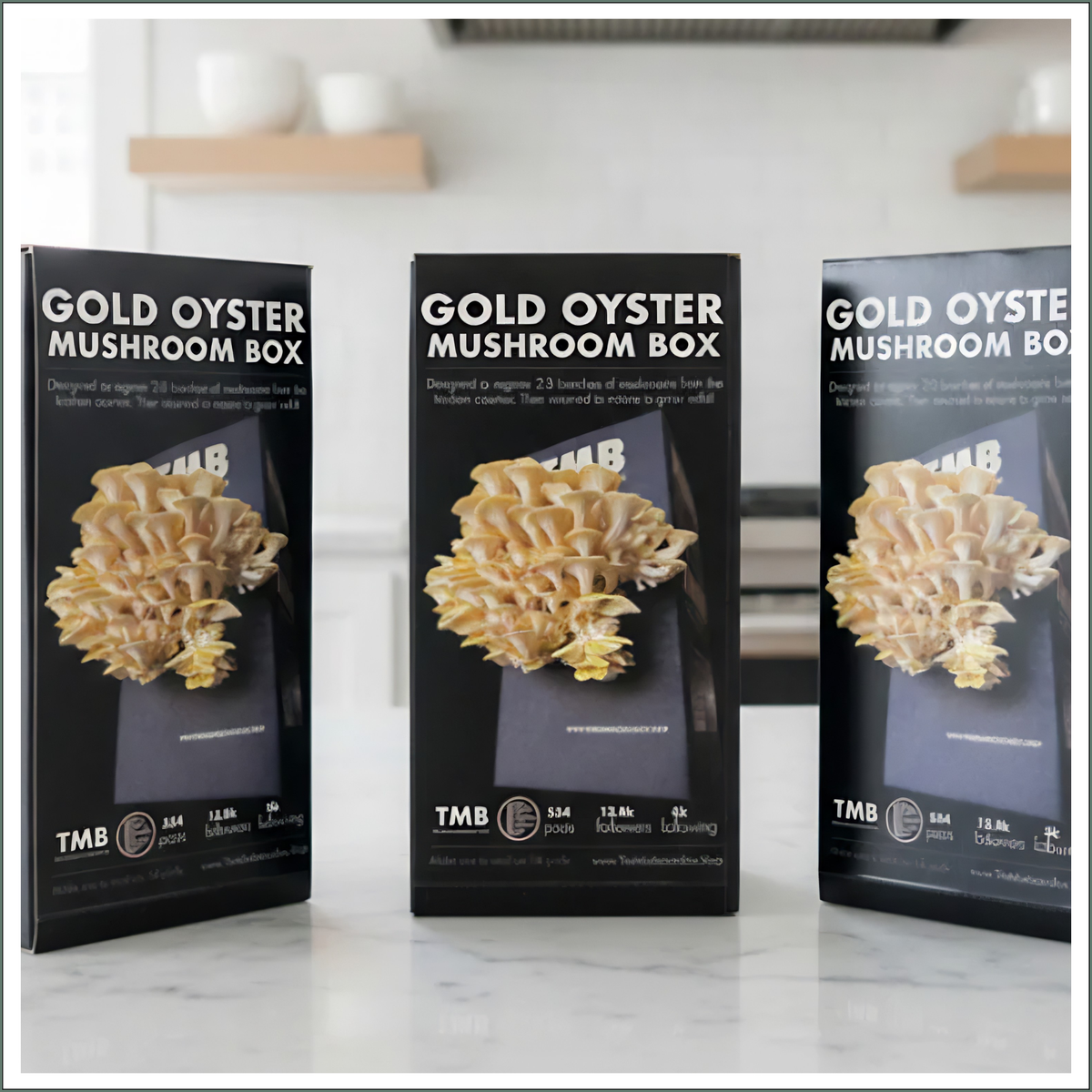 Mushroom Grow Box - Golden Oyster Mushrooms