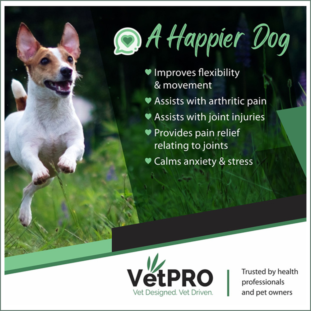 VetPro Canine CBD Joint Support
